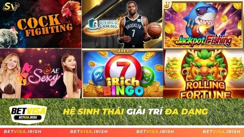 Hệ sinh thái giải trí đa dạng